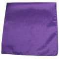 100% Cotton Paisley and Plain Bandana - 240 Pack F72952