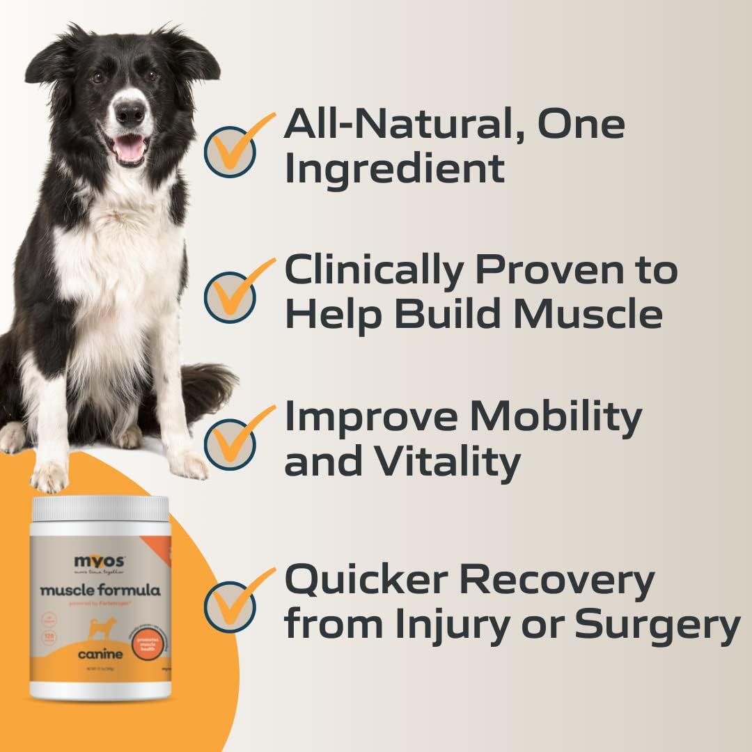 12.7 Ounce Canine Muscle Supplement H9158